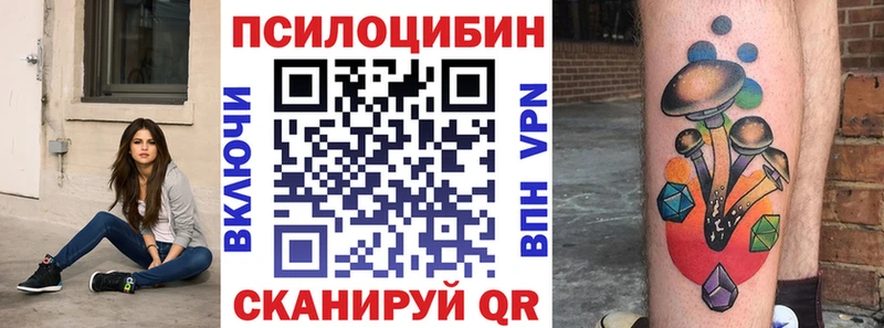 закладки  Салаир  Псилоцибиновые грибы Cubensis 